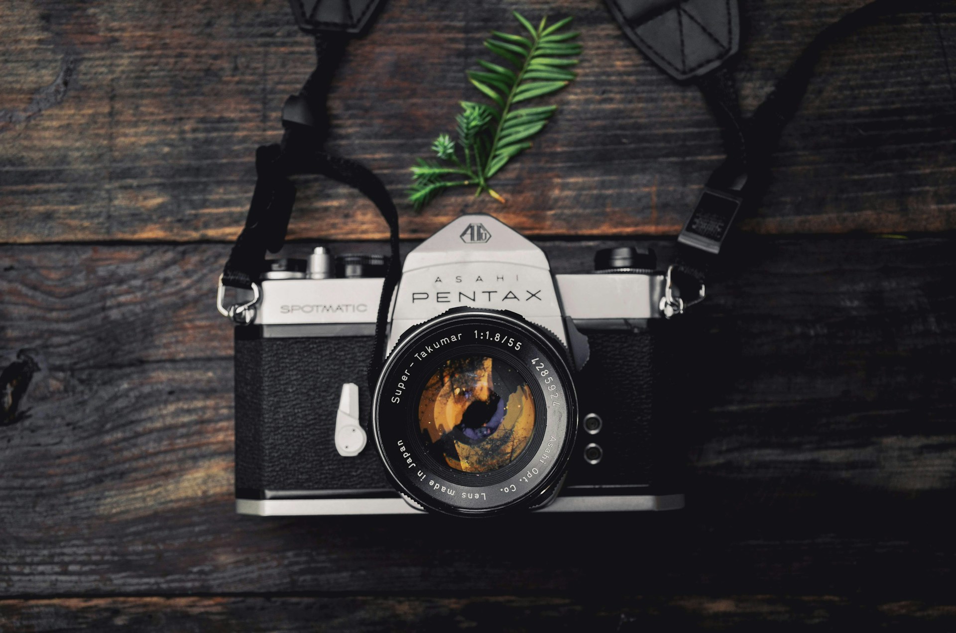 Turning Photography into Purpose